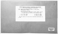 Podosphaera epilobii image